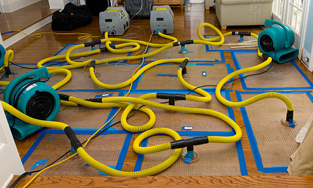 Professional Burst Pipe Water Damage technician working in Hartland, ME